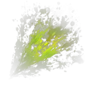 Morsure acide