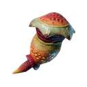 Glande d'ammoniac