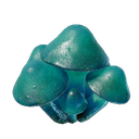 Plant de russule azur