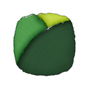 Forêt d'émeraude
