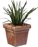 Pot d'herbe (carré)