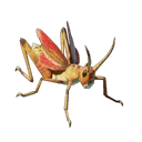 Sauterelle