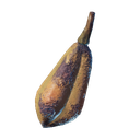 Fruit de yucca grillé
