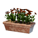 Long pot de fleurs rouge