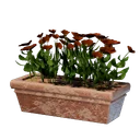 Long pot de fleurs rouge