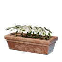 Long pot de fleurs blanc