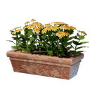 Long pot de fleurs jaune