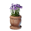 Pot à fleurs rose moyen