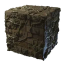 Bloc envahi de mycélium