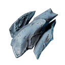 Carapace pétrifiée de Traqueur de Brume
