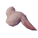 Viande d'oiseau crue