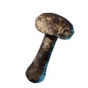 Champignon shiitake rôti