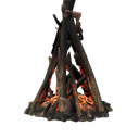 Feu de joie de charognard