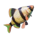 Nageoire scintillante