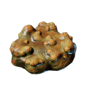 Champignon de Brume