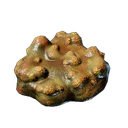 Champignon de Brume