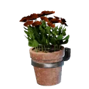 Petit pot mural de fleurs rouges