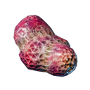 Glande d'araignée