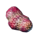 Glande d'araignée