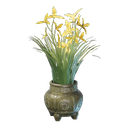 Pot de fleur de cymbidium jaune