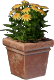 Pot de fleur jaune (carré)