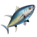 N'importe quel poisson rare