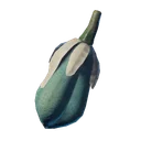Fruit de yucca